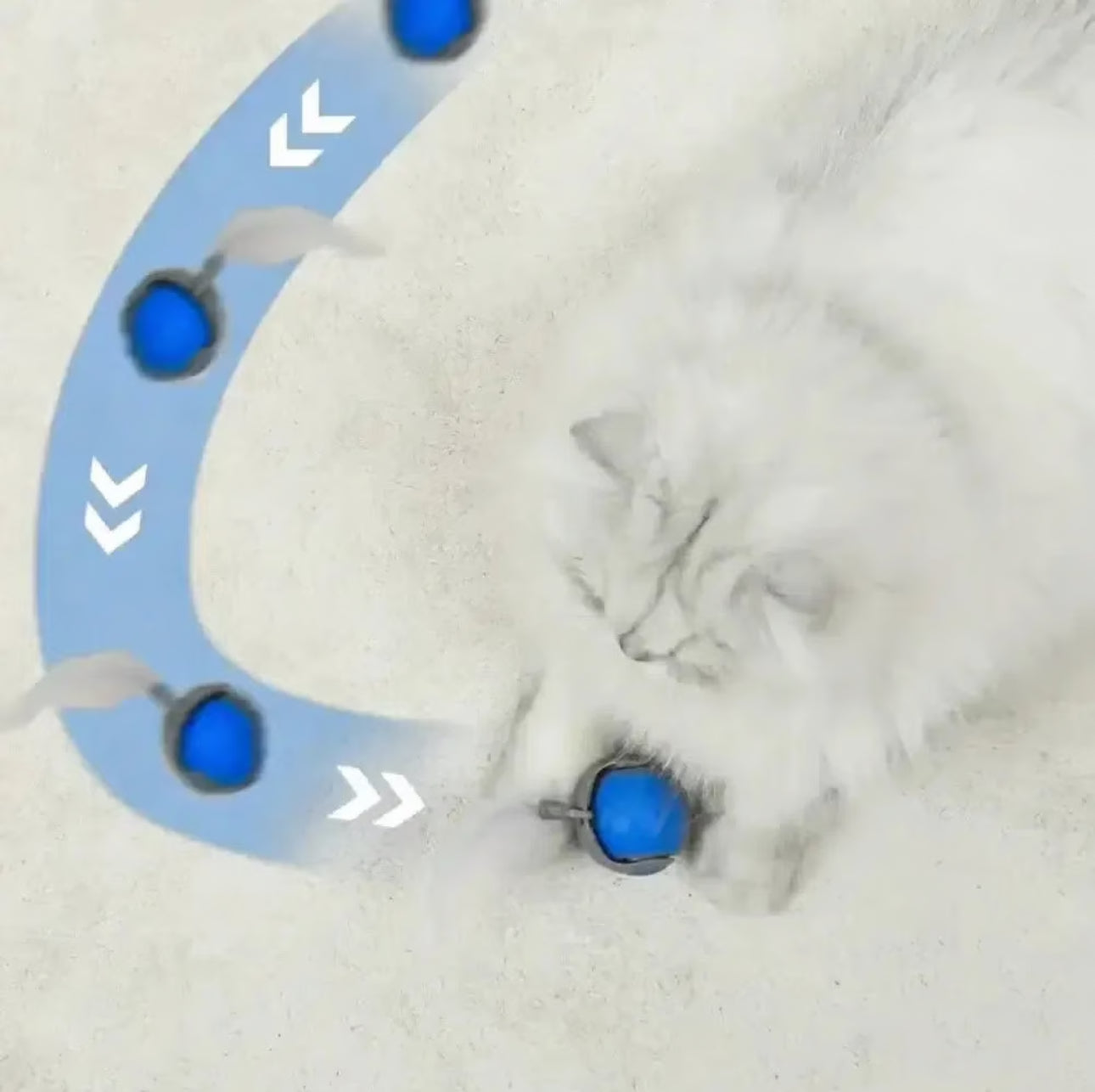 Carae™ - Intelligentes Katzenspielzeug