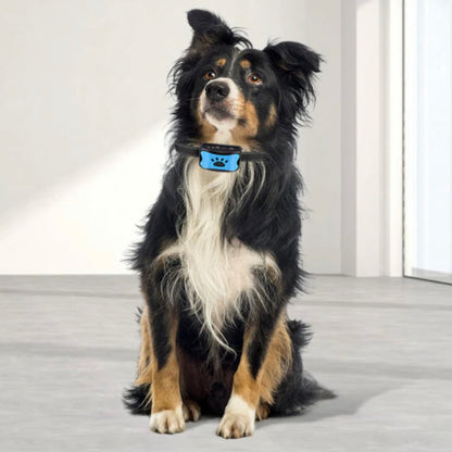 Belly™ - Tierfreundliches Anti-Bell Hundehalsband