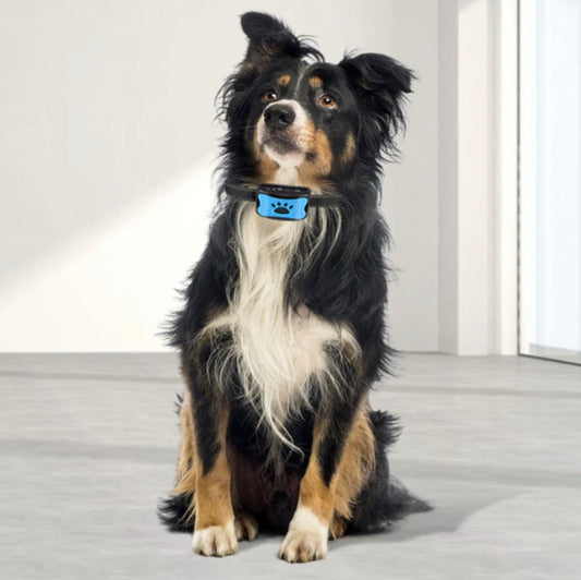 Belly™ - Tierfreundliches Anti-Bell Hundehalsband