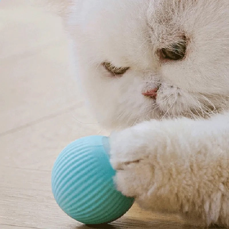 SmartPet™ - Interaktiver Katzenball