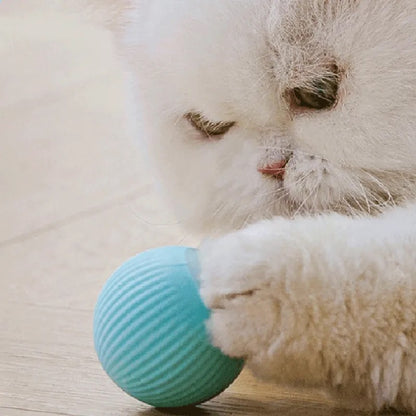 SmartPet™ - Interaktiver Katzenball