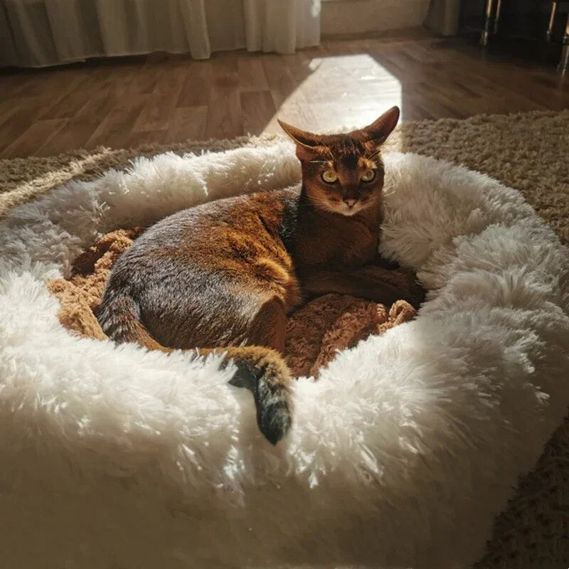 Fluffy™ - Ein Paradies für Pfoten: Das Flauschige Haustierbett