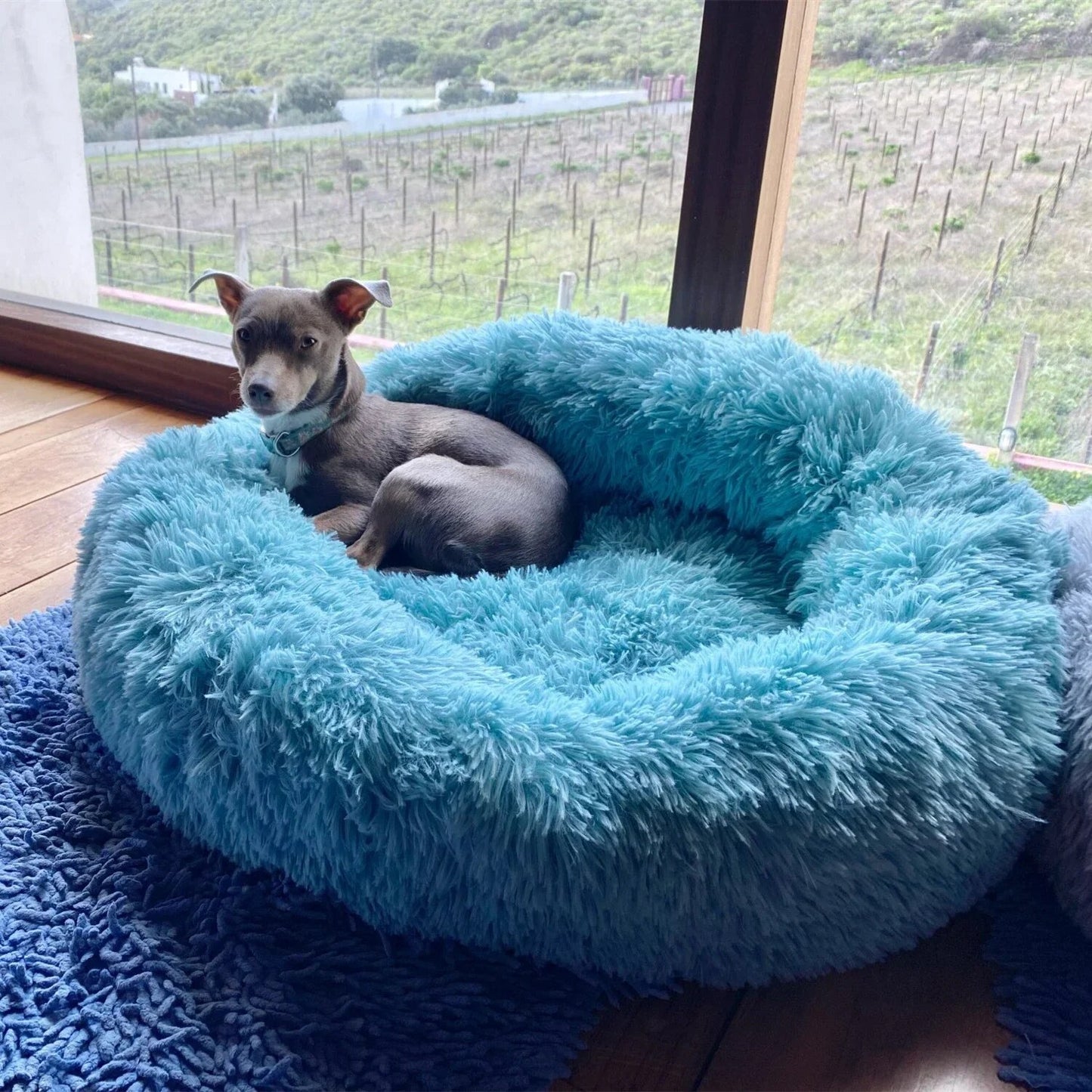 Fluffy™ - Ein Paradies für Pfoten: Das Flauschige Haustierbett